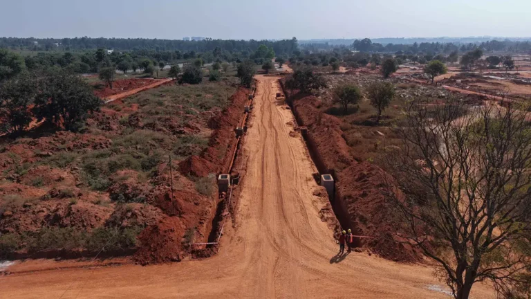 Tangled Up in Green Construction Update