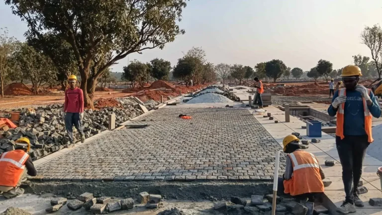 Tangled Up in Green Construction Update