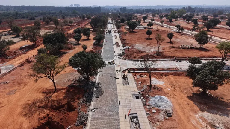 Tangled Up in Green Construction Update