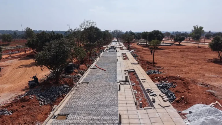 Tangled Up in Green Construction Update