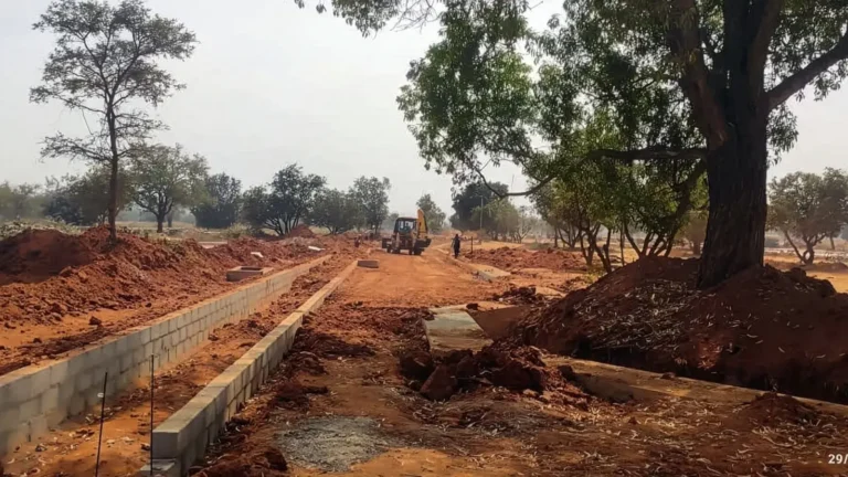 Tangled Up in Green Construction Update