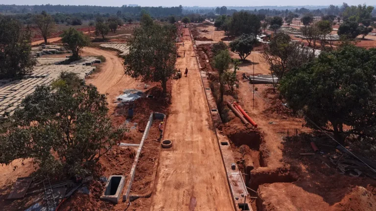 Tangled Up in Green Construction Update