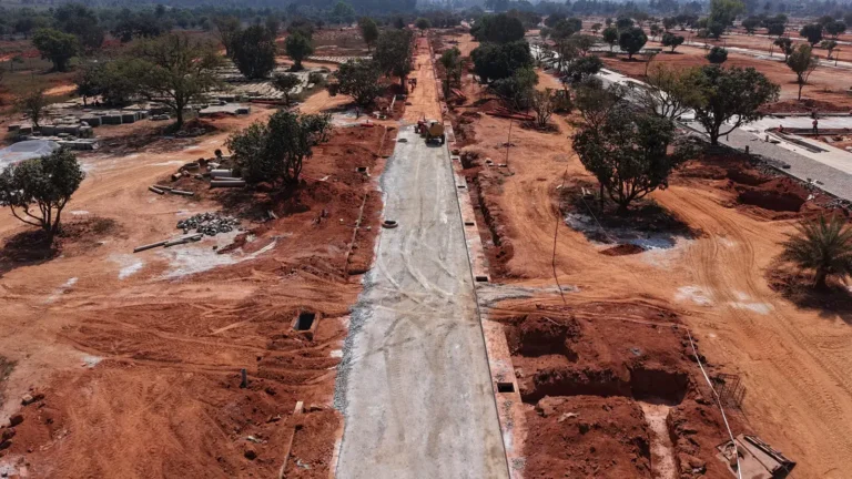 Tangled Up in Green Construction Update