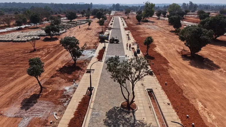 Tangled Up in Green Construction Update