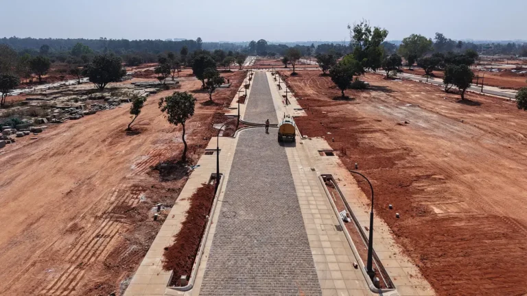 Tangled Up in Green Construction Update