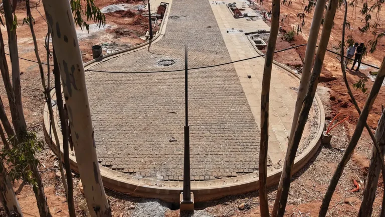 Tangled Up in Green Construction Update