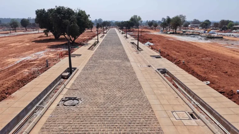 Tangled Up in Green Construction Update