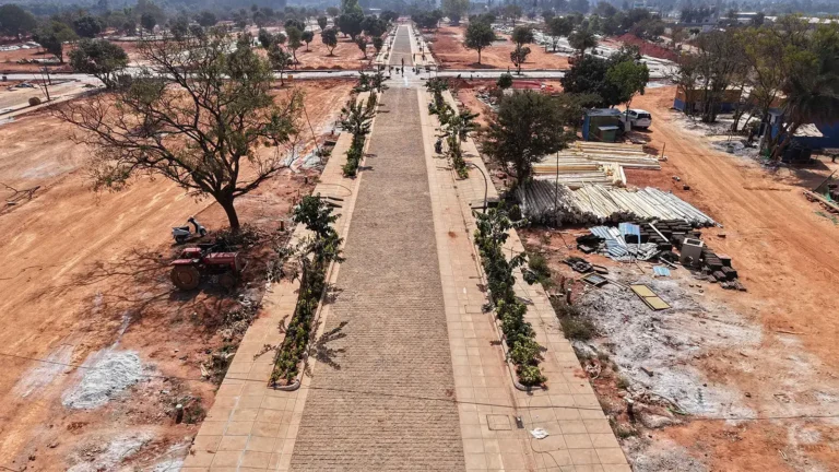 Tangled Up in Green Construction Update