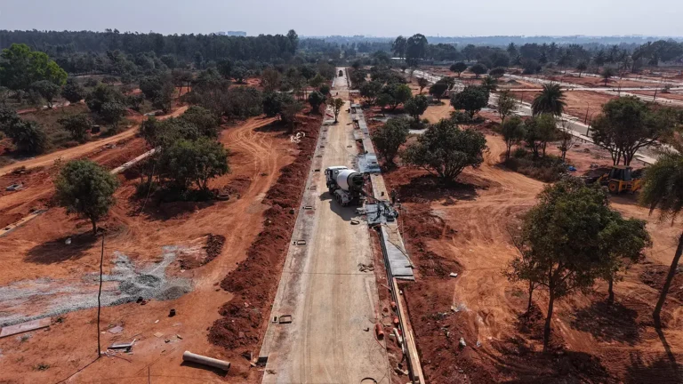 Tangled Up in Green Construction Update