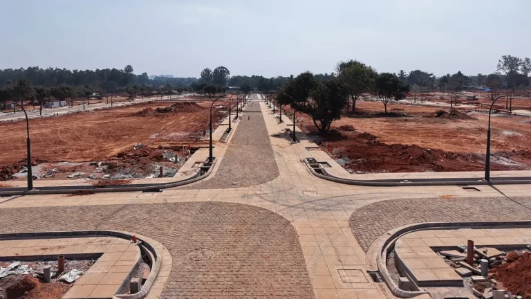 Tangled Up in Green Construction Update